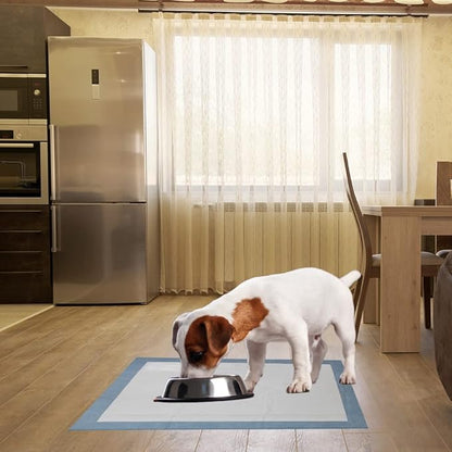 BV XL Puppy Pads X-Large Leak-Proof 28"x34" [20CT] | Pee Pads for Dogs Ultra Absorbent 6-Layer - Dog Pee Pads Extra Large - Dog Pads XL - Potty Pads for Dogs, Training Pads for Dogs, Dog Pad - PAWPICO