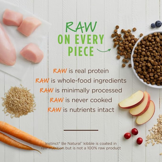 Instinct Be Natural Real Chicken & Brown Rice Recipe Natural Dry Dog Food, 25 lb. Bag - PAWPICO