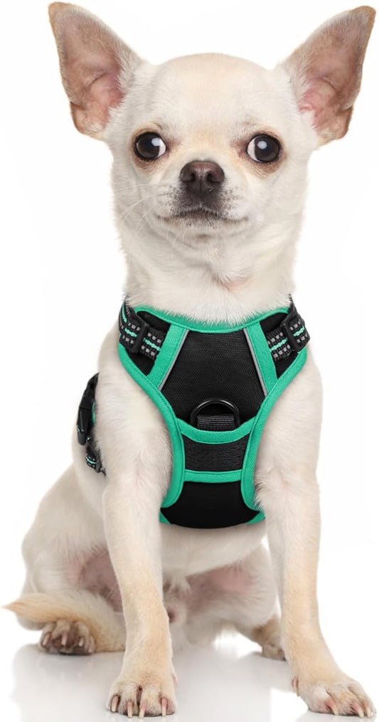 rabbitgoo Dog Harness, No-Pull Pet Harness with 2 Leash Clips, Adjustable Soft Padded Dog Vest, Reflective No-Choke Pet Oxford Vest with Easy Control Handle for Large Dogs, Black & Turquoise, X-Small - PAWPICO