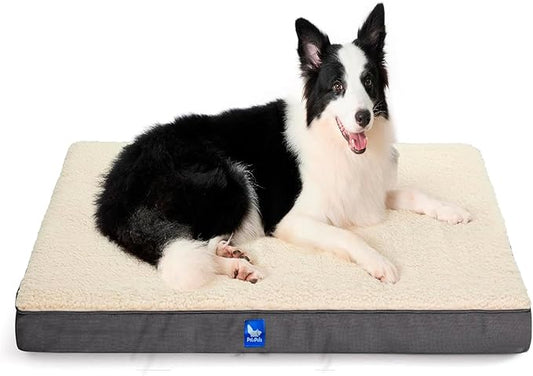 Orthopedic Dog Bed, Memory Foam Revisable Two Side with Washable Removable Cover,Medium, 30”x20” - PAWPICO