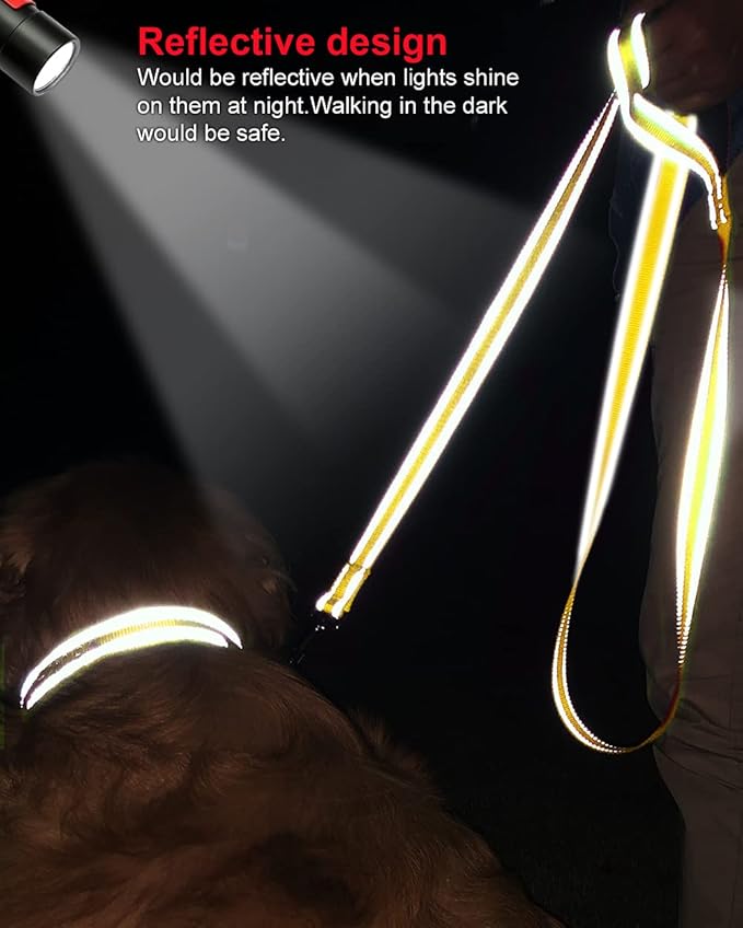 Joytale Double-Sided Reflective Dog Leash, 6 FT/5 FT/4 FT, Padded Handle Nylon Heavy Duty Leashes for Medium & Large Dogs Walking, Yellow, 5FT Joytale