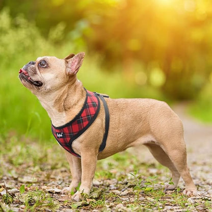 PUPTECK Soft Mesh Dog Harness and Leash Set Pet Puppy Cat Comfort Padded Vest No Pull Harnesses, Red&Black, S PUPTECK