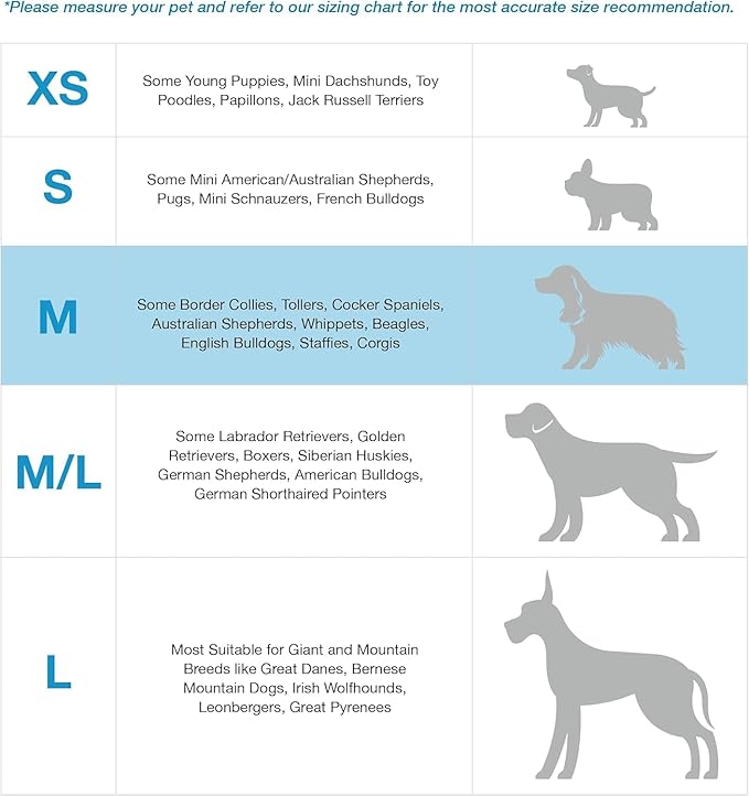 Blue-9 Buckle-Neck Balance Harness, Fully Customizable Fit No-Pull Harness, Ideal for Dog Training and Obedience, Made in The USA, Hot Pink, Medium Blue-9