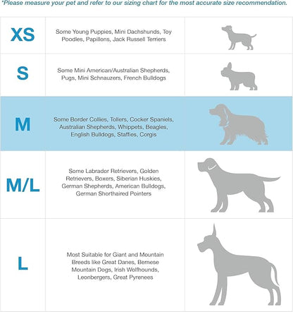 Blue-9 Buckle-Neck Balance Harness, Fully Customizable Fit No-Pull Harness, Ideal for Dog Training and Obedience, Made in The USA, Hot Pink, Medium Blue-9