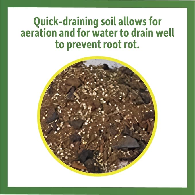 Josh's Frogs Sprig & Stone Terrarium Soil (1 Quart) JoshsFrogs