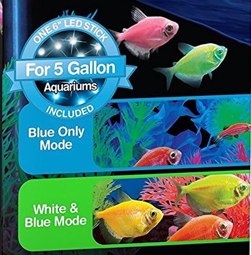 GloFish LED Light 5 Gallons, Blue and White LED Lights, for Aquariums Up to 5 Gallons, Model:29028 GloFish