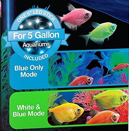 GloFish LED Light 5 Gallons, Blue and White LED Lights, for Aquariums Up to 5 Gallons, Model:29028 GloFish