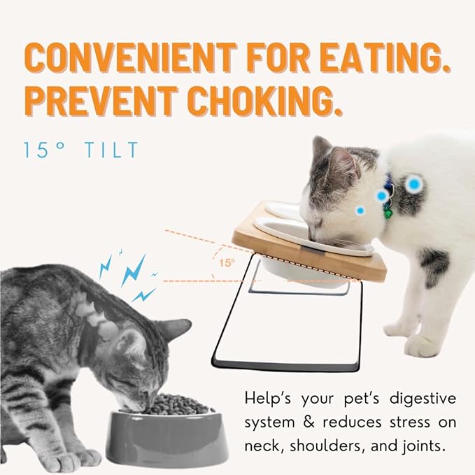 Elevated Cat Ceramic Bowls Stand for Food and Water, Small Dog, Anti Vomit, Indoor Cats, Tilted Feeding Position, Full Bamboo Body Stand with Food Grade, Whisker Friendly Dish for Cats and Puppy - PAWPICO
