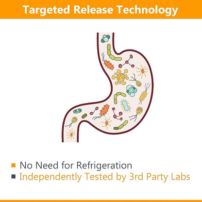 NewRhythm Probiotics 50 Billion CFU 20 Strains, 120 Veggie Capsules, Targeted Release Technology, Stomach Acid Resistant, No Need for Refrigeration, Non-GMO, Gluten Free NewRhythm