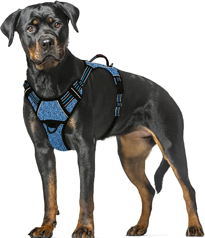 BARKBAY No Pull Dog Harness Large Reflective Dog Harness with Front Clip and Easy Control Handle for Walking Training Running with ID tag Pocket(Blue/Black,XL) BARKBAY