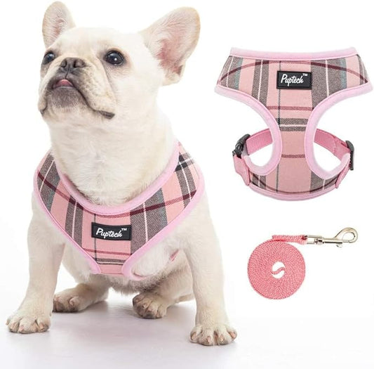 PUPTECK Soft Mesh Dog Harness and Leash Set Pet Puppy Cat Comfort Padded Vest No Pull Harnesses, Old Pink, XXS PUPTECK