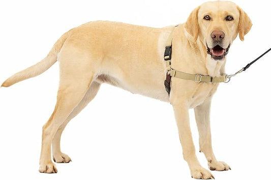 PetSafe Easy Walk No-Pull Dog Harness - The Ultimate Harness to Help Stop Pulling - Take Control & Teach Better Leash Manners - Helps Prevent Pets Pulling on Walks, Large, Fawn/Brown PetSafe