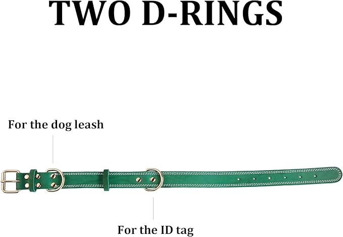 Dog Collar, Genuine Leather Dog Collar, Heavy Duty Dog Collar, Wide Dog Collar for Small Dog, Medium Dog, Large Dog and Extra Large Dog (M: 1" Wide for 15.2"-19.2" Neck, Dual Stitch - Green) DAIHAQIKO