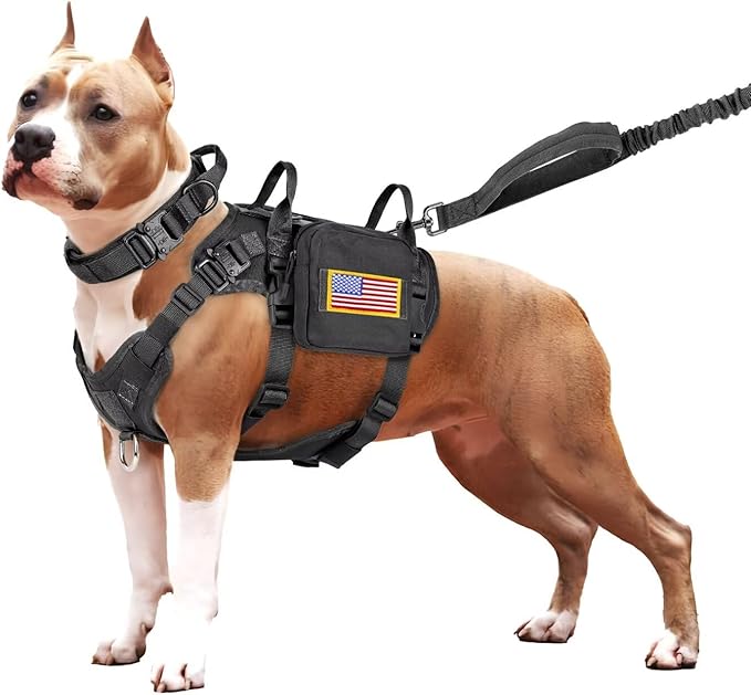 Forestpaw Tactical Dog Harness for Large Dogs,Tactical Dog Collar with Bungee Leash Set,No Pull Military Dog Harness for Dog Walking Training,Adjustable for Medium Large Dogs,Black S Forestpaw