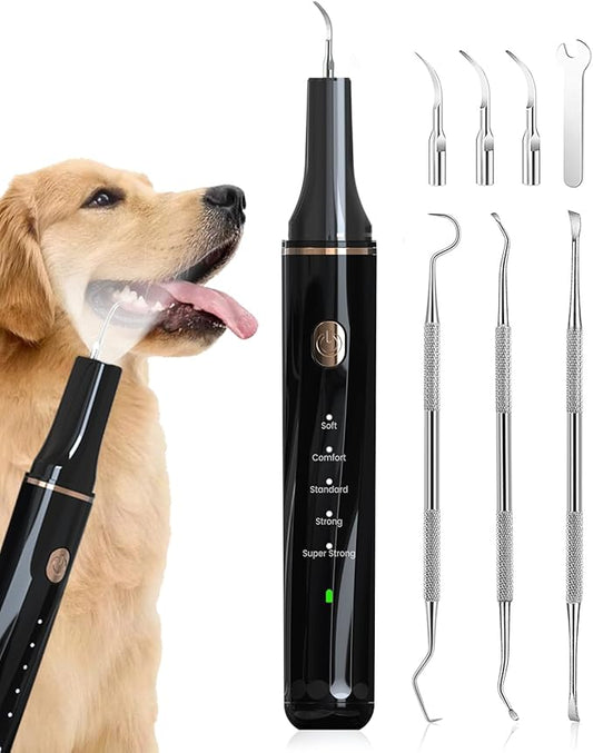 Hansaplast Plaque Remover for Teeth, Dog Teeth Cleaning, Dental Tools to Remove Tartar and Stains, Safe for Dogs & Cats, with Led Light & 5 Adjustable Modes(White) Hansaplast