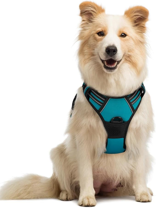 rabbitgoo Dog Harness No Pull with 2 Leash Clips, Adjustable Soft Padded, Reflective Oxford No Choke Pet Vest with Easy Control Handle for Medium Sized Dogs, Teal, M rabbitgoo