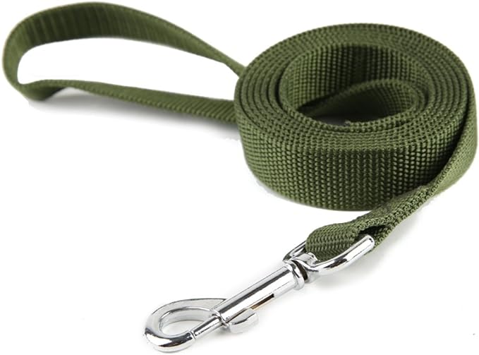 Nylon Dog Training Leash, Traction Rope, 4Ft /5 Foot /6 Feet Long, 5/8 inch 3/4 Inch 1 Inch Wide, for Small and Medium Dogs (3/4'' x 4 F, Green) TAIDA