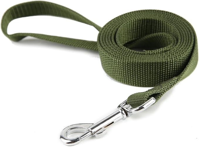 Nylon Dog Training Leash, Traction Rope, 4Ft /5 Foot /6 Feet Long, 5/8 inch 3/4 Inch 1 Inch Wide, for Small and Medium Dogs (Green, 1'' x 20 FT) TAIDA