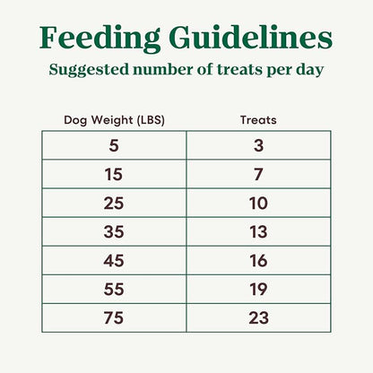 NUTRO Crunchy Dog Treats with Real Apple, 10 oz. Bag - PAWPICO