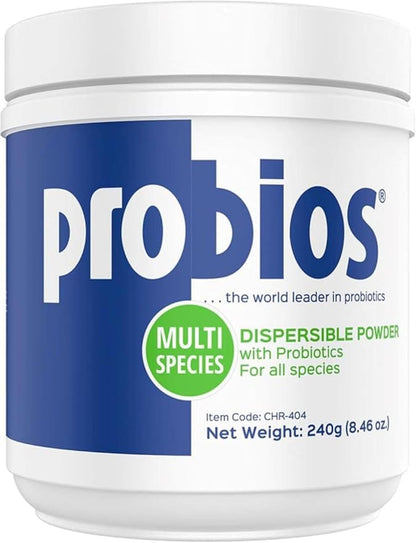 Probios Dispersable Powder - Probios Powder, Pet Probiotic, Probiotics for Swine, Equine, Sheep, Goat, Dog, Cat, Bird, Rabbit, Foals (240 gm) Probios
