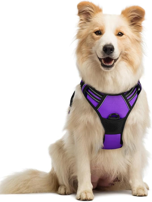 rabbitgoo Dog Harness No Pull with 2 Leash Clips, Adjustable Soft Padded, Reflective Oxford No Choke Pet Vest with Easy Control Handle for Medium Sized Dogs, Purple, M rabbitgoo