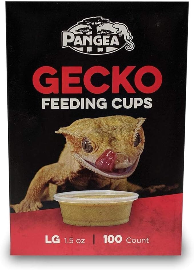 Pangea Large Gecko Ledge Replacement Cups 100 Count PangeaReptile