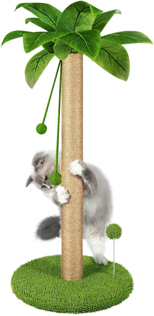 Dohump Cat Scratching Post, 31" Tall Scratch Tree with Premium Sisal Rope, Two Interactive Dangling Balls and Spring Ball Toys for Indoor Kittens and Cats - PAWPICO
