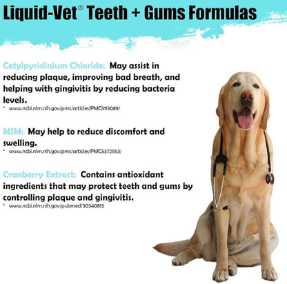 Advanced Teeth & Gums Supplements for Dogs | Dental Care for Dogs | Oral Mouth Care | Tartar + Plaque + Gingivitis Liquid-Vet+by+COOL+PET+Holistics