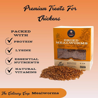 Fluker's Culinary Coop Premium Chicken Treats, High Protein Dried Mealworms, Nutritious Snacks for Chickens, Birds, and Reptiles, 5 lbs Box Flukers