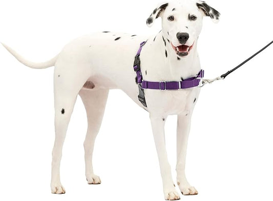 PetSafe Easy Walk No-Pull Dog Harness - The Ultimate Harness to Help Stop Pulling - Take Control & Teach Better Leash Manners - Helps Prevent Pets Pulling on Walks, Medium/Large, Deep Purple/Black PetSafe