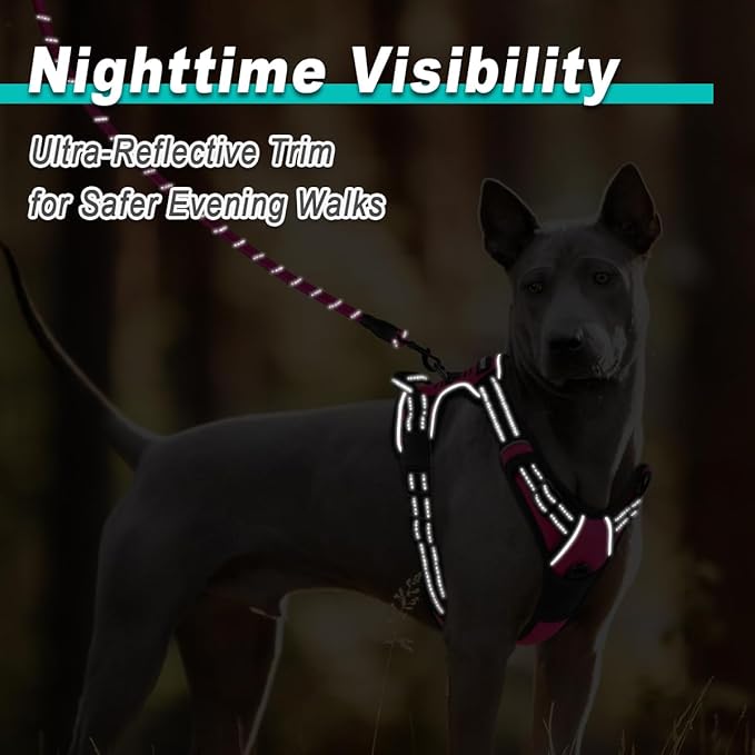 BARKBAY No Pull Pet Harness Dog Harness Adjustable Outdoor Pet Vest 3M Reflective Oxford Material Vest for PINK Dogs Easy Control for Small Medium Large Dogs (L) BARKBAY