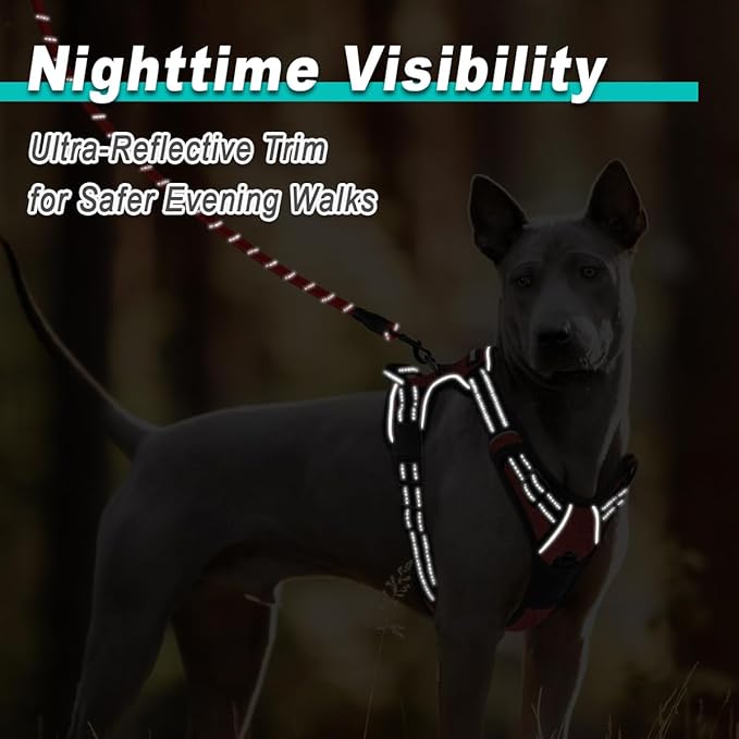 BARKBAY Dog Harness No Pull for Large Dogs - Adjustable, Reflective, Comfortable, No Choke, Heavy-Duty - Perfect for Outdoor Training, Walking, and Hiking - Strong & Durable - XL & Roi Red BARKBAY