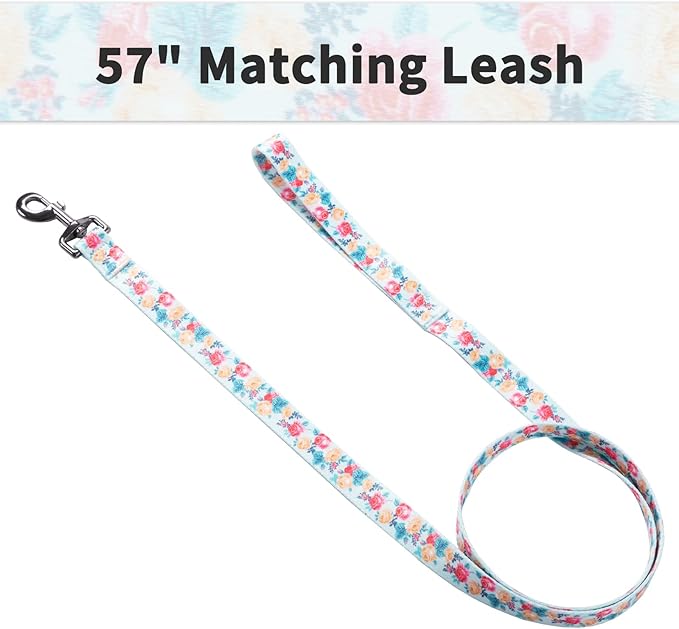 Ihoming Puppy Collar and Leash Set for Daily Outdoor Walking Running Training, Blue Festive Flowers Design for Extra Small Boys Girls Dogs Cats Pets, XS-Up to 10LBS Ihoming