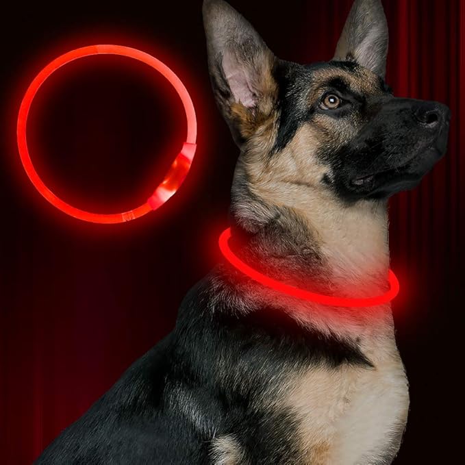 Led Dog Collar, BSEEN USB Rechargeable Flash Dog Necklace Light, Pet Safety Collar Makes Your Beloved Dogs Be Seen at Night for Small Medium Large Dogs(Red) BSEEN