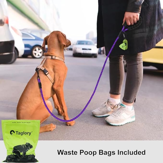 Taglory Rope Dog Leash 6 FT with Comfortable Padded Handle, Highly Reflective Threads Leash for Small Dogs, 3/8 inch, Purple Taglory