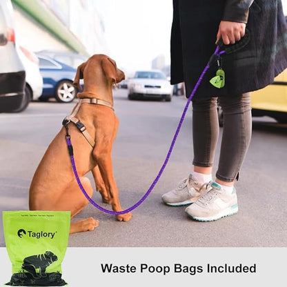 Taglory Rope Dog Leash 4 FT with Comfortable Padded Handle, Highly Reflective Threads Leash for Small Dogs, 3/8 inch, Purple Taglory