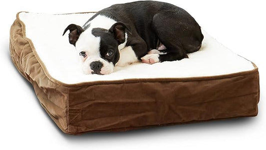 Happy Hounds Oscar Rectangle Orthopedic Foam Sherpa Dog Bed, Extra Small (24 x 18 in.), Mocha - PAWPICO