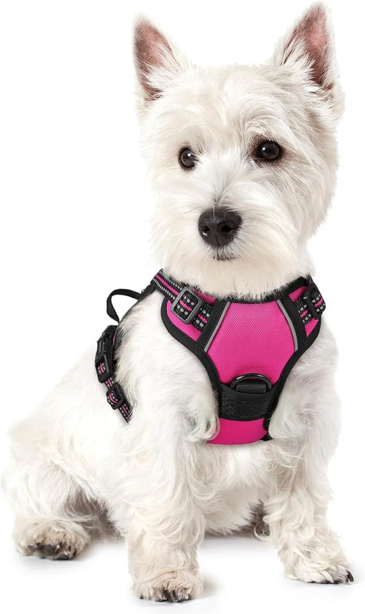 rabbitgoo Dog Harness No Pull with 2 Leash Clips, Adjustable Soft Padded, Reflective Oxford No Choke Pet Vest with Easy Control Handle for Puppy, Hot Pink, XS rabbitgoo