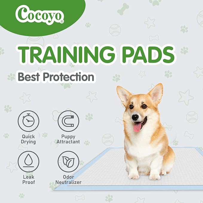 COCOYO Best Value Training Pads 100 Count 13“ by 17.7”| Dog Pee Pads | Super Absorbent Puppy Pads,Blue - PAWPICO
