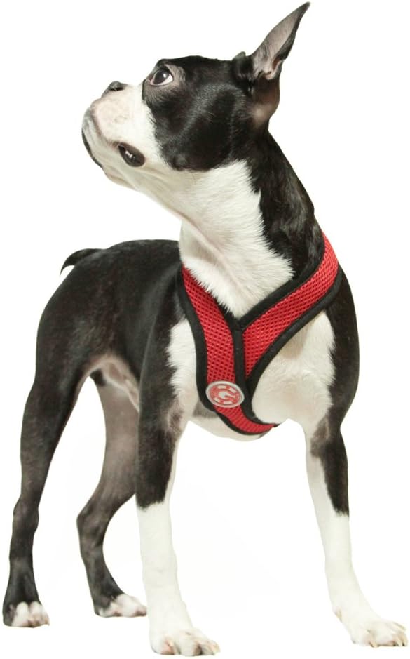 Gooby Comfort X Head in Harness - Red, Medium - No Pull Small Dog Harness, Patented Choke-Free X Frame - Perfect on The Go Dog Harness for Medium Dogs No Pull or Small Dogs for Indoor and Outdoor Use Gooby