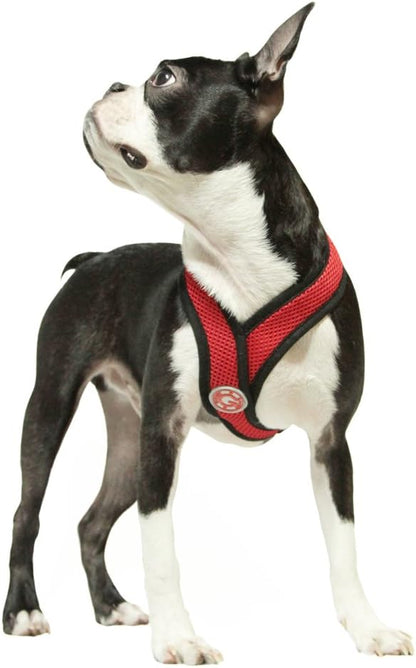 Gooby Comfort X Head in Harness - Red, Medium - No Pull Small Dog Harness, Patented Choke-Free X Frame - Perfect on The Go Dog Harness for Medium Dogs No Pull or Small Dogs for Indoor and Outdoor Use Gooby