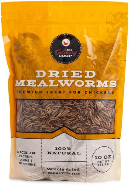 Fluker's Culinary Coop Premium Chicken Treats, Mealworms 10 oz, High Protein Worm, Nutritious Treat Flukers