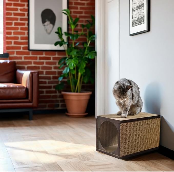 Cat Scratcher Tunnel, Cardboard cat House, Scratching Post for Indoor Cats, 360 Degree Comfort, Durable Design, Odor-Free, Easy Assembly, Perfect for Playful Kittens and Adult Cats, Espresso - PAWPICO