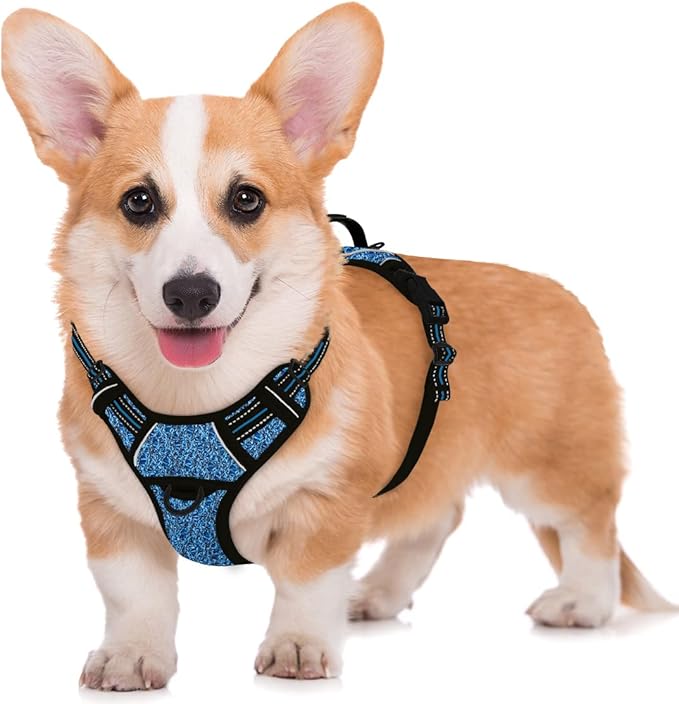 BARKBAY No Pull Dog Harness Large Reflective Dog Harness with Front Clip and Easy Control Handle for Walking Training Running with ID tag Pocket(Blue/Black,M) BARKBAY