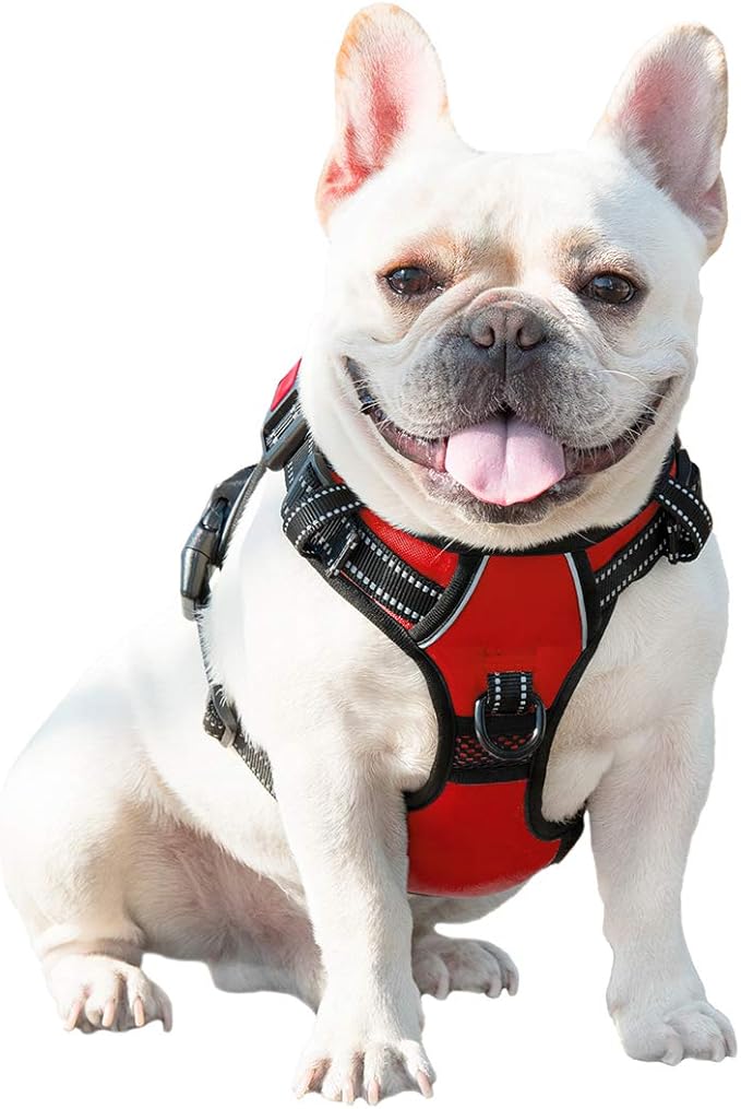 PHOEPET No Pull Dog Harnesses for Small Dogs Reflective Adjustable Front Clip Vest with Handle 2 Metal Rings 3 Buckles [Easy to Put on & Take Off](XS, Red) PHOEPET