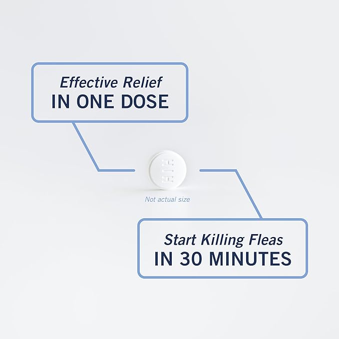 PetArmor CAPACTION (nitenpyram) Oral Flea Treatment for Cats, Fast Acting Tablets Start Killing Fleas in 30 Minutes, Cats 2-25 lbs, 6 Doses PetArmor