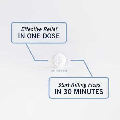 PetArmor CAPACTION (nitenpyram) Oral Flea Treatment for Cats, Fast Acting Tablets Start Killing Fleas in 30 Minutes, Cats 2-25 lbs, 6 Doses PetArmor