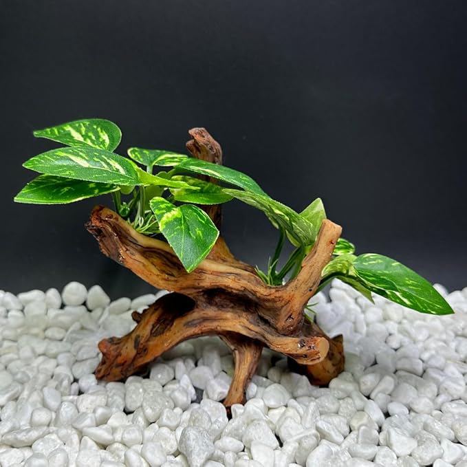 Smoothedo-Pets Fish Tank Decorations Aquarium Decor 5inch Ornaments Betta Leaf pad Hammock Artifical Driftwood Cave Goldfish Bowl Accessories (Type-J) EnvironmentFriendlyArtificialPlasticPlantAquariumDecoration