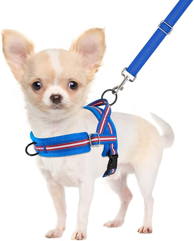 SlowTon No Pull Small Dog Harness and Leash Set, Puppy Soft Vest Harness Neck & Chest Adjustable, Reflective Lightweight Harness & Anti-Twist Pet Lead Combo for Small Medium Dogs (DB-Front Clip, XS) SlowTon