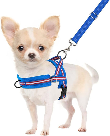 SlowTon No Pull Small Dog Harness and Leash Set, Puppy Soft Vest Harness Neck & Chest Adjustable, Reflective Lightweight Harness & Anti-Twist Pet Lead Combo for Small Medium Dogs (DB-Front Clip, XS) SlowTon
